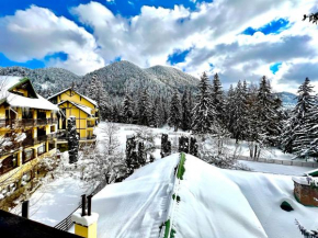 Hotel Casa Viorel Braşov